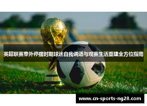 英超联赛意外停摆时期球迷自我调适与观赛生活重建全方位指南