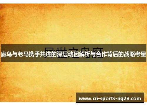 魔鸟与老马携手共进的深层动因解析与合作背后的战略考量