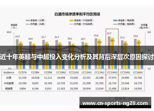 近十年英超与中超投入变化分析及其背后深层次原因探讨
